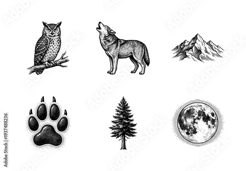 Vintage wilderness engraving collection featuring a howling wolf owl mountain peak pine tree paw print and full moon in hand drawn woodcut style