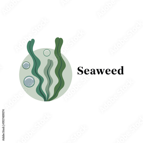 Seaweed illustration with green strands and bubbles on a light green circle background