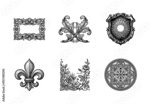 Set of vintage ornamental design elements featuring floral scrolls, baroque frames, fleur de lis, heraldic shield, and botanical rose patterns in engraving style.