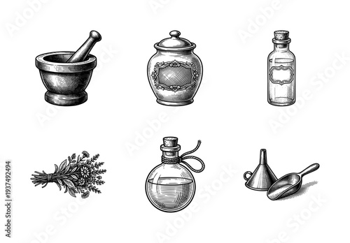 Vintage engraving set of apothecary and herbalist tools including mortar pestle jars bottles and dried medicinal herbs