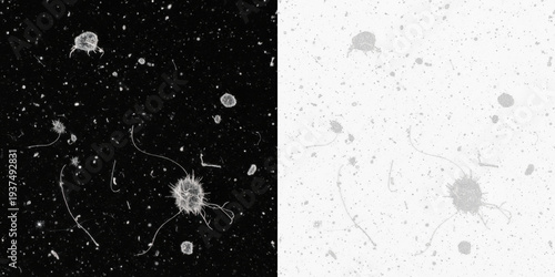 Konstfotografi Vintage darkroom dust texture isolated on black background, analog photography d