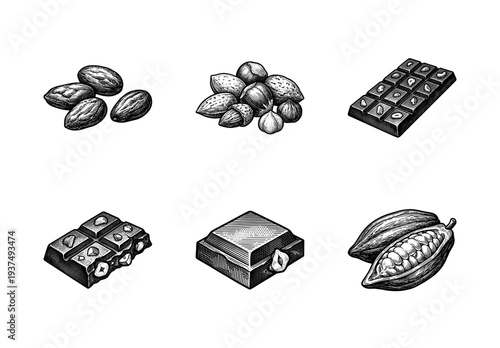 Set of chocolate and nut illustrations in vintage woodcut style featuring cocoa beans, almond clusters, hazelnut praline, and textured candy bars