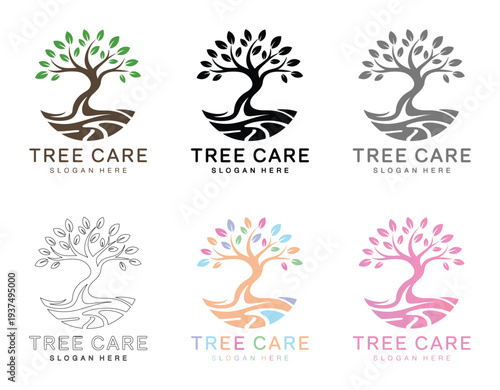 Tree Care Logos in Various Colors and Styles for Branding and Identity