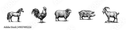 Vintage engraving style collection of domestic farm animals including horse, rooster, ram, pig, and goat