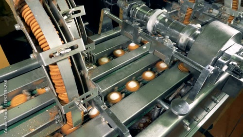 Automated Cookie Production Line - Industrial Bakery Factory Equipment