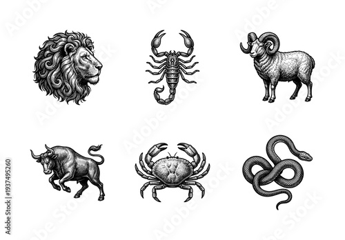 Set of black and white hand drawn engravings featuring zodiac animals including lion, scorpion, ram, bull, crab, and snake