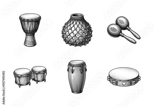 Vintage engraving style collection of traditional percussion instruments including djembe, conga, bongo, shekere, maracas, and tambourine on white