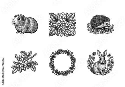 Set of vintage woodcut style illustrations featuring animals and botanical elements including a guinea pig hedgehog rabbit and berry branches