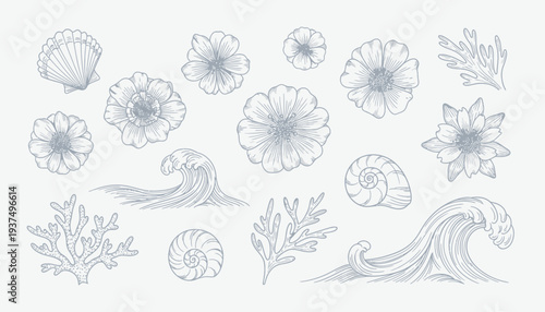 Collection of Hand Drawn Ocean Elements and Sea Creatures.