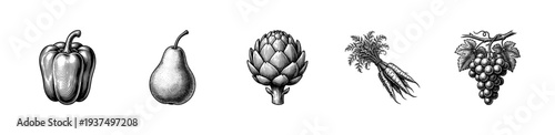 Vintage engraving style collection of fresh vegetables and fruits featuring bell pepper pear artichoke carrots and grapes on a horizontal row