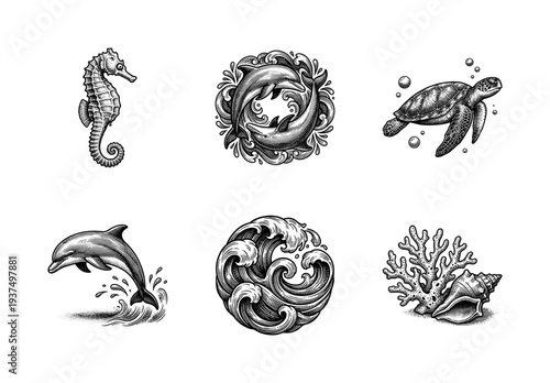 Vintage engraving collection of marine life featuring dolphins, sea turtle, seahorse, stylized ocean waves, and coral reef elements
