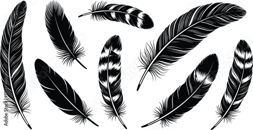 Feather illustration set, black and white design, natural decorative element, bird feather art, organic sketch template, textured ornamental graphic