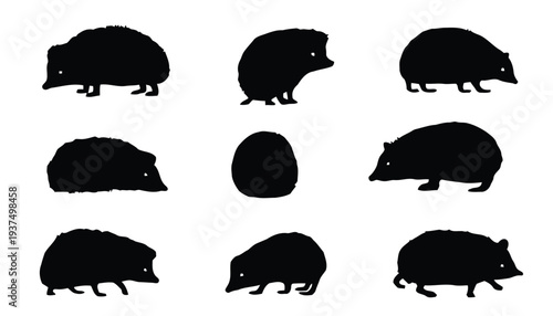 Silhouettes of hedgehogs in different poses, cute and prickly animal illustrations