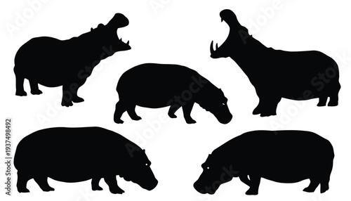 Silhouettes of hippos in various poses yawning eating and standing on white background