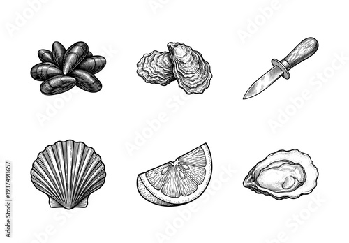 Vintage engraving of assorted seafood including mussels, oysters, and scallops with a lemon slice and shucking knife in a hand-drawn woodcut style.