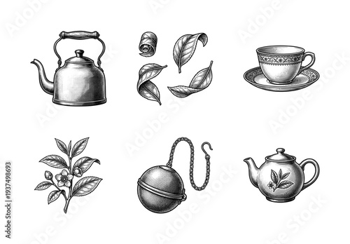 Set of tea brewing equipment and camellia sinensis plant elements in a vintage woodcut engraving style