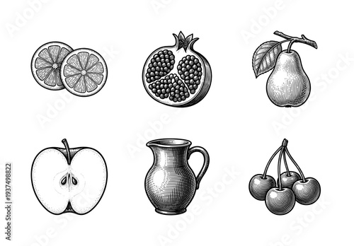 Vintage engraving style fruit collection featuring pomegranate, apple half, pear, cherries, orange slices and a ceramic pitcher.