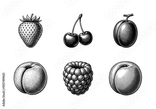 Vintage engraving of assorted summer berries and stone fruits including strawberry, cherry, raspberry, and peach in a classic woodcut etching style