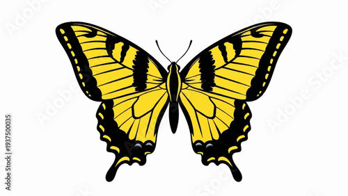 Yellow and black butterfly with patterned wings and antenna