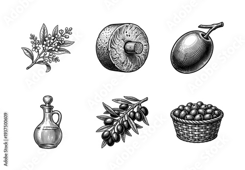 Set of olive oil production elements in vintage woodcut style including branches, millstone, and glass decanter