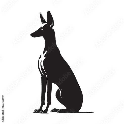 Pharaoh Hound Dog Vector Silhouette, Elegant Egyptian Hunting Breed Illustration, Slim Athletic Sighthound Outline, Rare Ancient Dog Breed Pet Design, Pharaoh Hound Graphic, Canine Art.