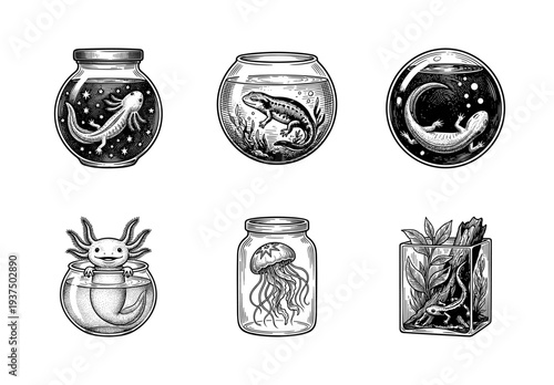 Set of black and white hand drawn engravings featuring axolotls, salamanders, and a jellyfish in glass jars and terrariums