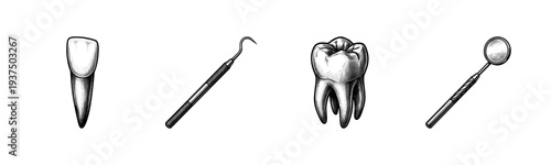 Vintage engraving style dental illustration set featuring human teeth and professional dentist tools for healthcare and medical design