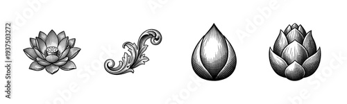 Vintage engraving set of lotus flower, acanthus leaf, and floral buds in a classic monochrome etching style