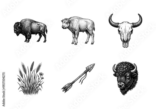 Vintage engraving style collection of bison and buffalo illustrations featuring wild animals, skull, arrow, and prairie grass