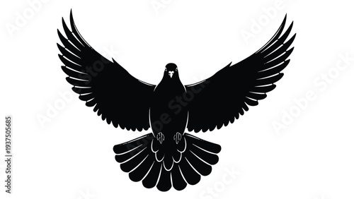 Black Bird Silhouette Flying Freely.