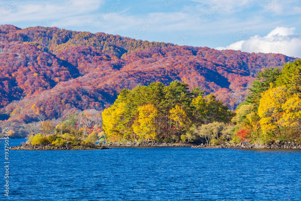 Naklejka premium 日本の風景・秋 福島県裏磐梯 紅葉の桧原湖