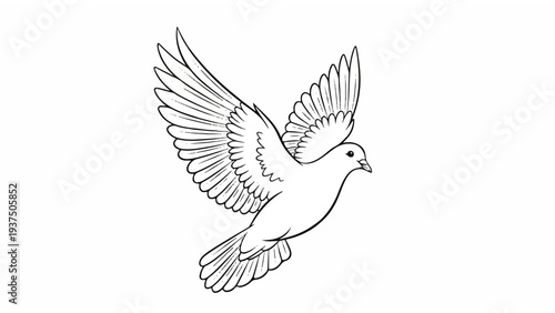 Dove Flying with Outstretched Wings Illustration.