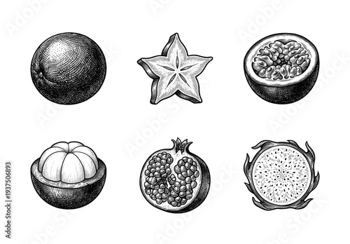 Set of exotic tropical fruit illustrations in vintage hand drawn woodcut style including dragon fruit mangosteen starfruit and pomegranate