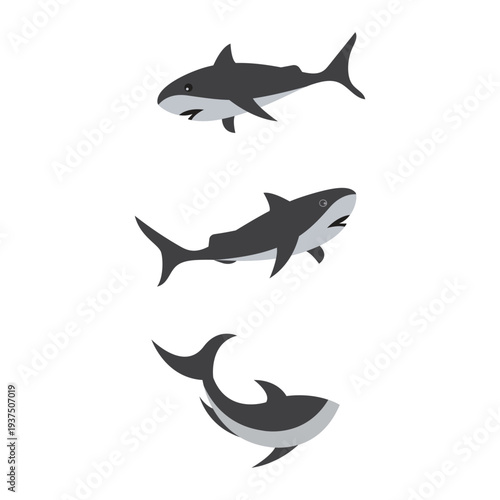 Great White Shark Silhouettes and Realistic Gray Shark Predator Vector Illustrations