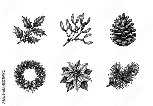 Vintage engraving style collection of Christmas botanical elements including holly, mistletoe, pine cone, wreath, poinsettia, and evergreen branch.