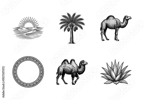 Desert life collection featuring camels palm trees sun over dunes and agave plant in a vintage woodcut engraving style.