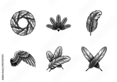 Set of vintage style bird feather illustrations featuring a circular wreath, spread plumes, crossed quills, and a single wing in detailed woodcut engraving.