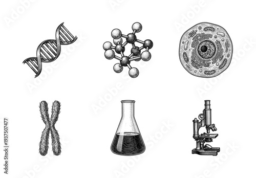 Set of vintage engraved science and biology icons featuring dna helix molecule animal cell chromosome laboratory flask and microscope