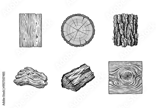 Vintage engraving style wood grain and timber textures collection featuring cross sections bark and logs