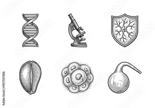 Vintage style engraving collection of science and biology icons including DNA helix, microscope, cell structure, and laboratory equipment on white background