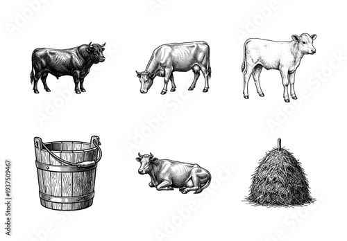 Vintage engraving style collection of farm cattle including bull cow calf hay bale and wooden bucket