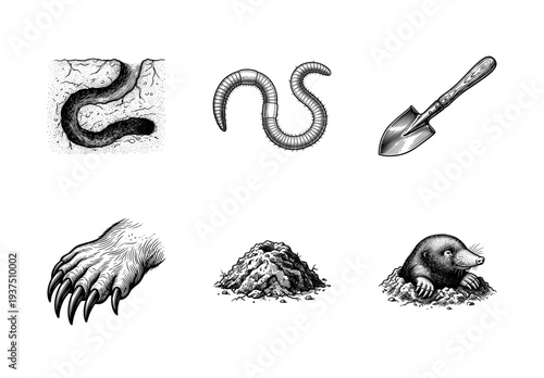 Vintage engraving style collection of subterranean life and digging tools featuring a mole, earthworm, tunnel, mound, shovel, and animal claw.