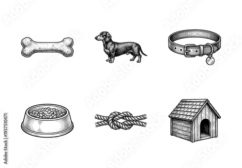 Vintage engraving style dog care and pet accessory set featuring dachshund breed canine bone collar wooden house food bowl and rope toy