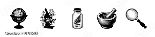 Vintage scientific illustration set featuring globe microscope fern specimen mortar and pestle and magnifying glass in black ink stipple style.