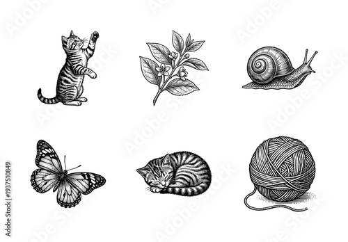 Vintage engraving collection of a kitten, sleeping cat, butterfly, snail, flowering branch, and ball of yarn in a woodcut etching style