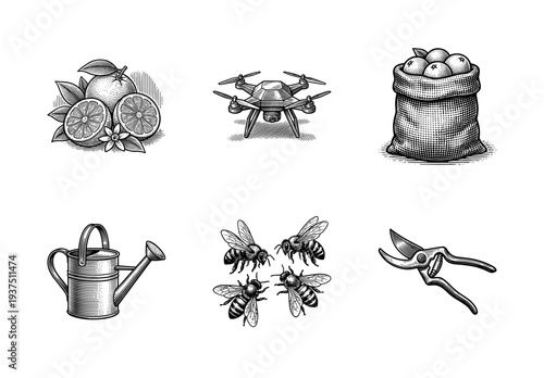 Vintage woodcut style collection of agricultural icons featuring citrus fruits, farming drone, honeybees, and gardening tools in black and white line art.