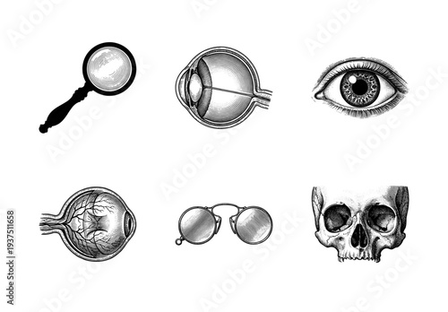 Vintage engraving collection of anatomical eyes human skull and optical instruments in a woodcut etching style