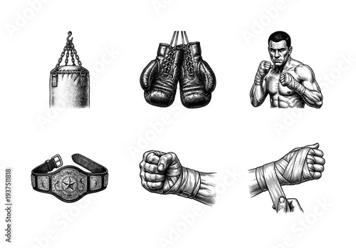 Boxing and martial arts equipment collection featuring vintage woodcut style illustrations of gloves, punching bag, championship belt, and hand wrapping