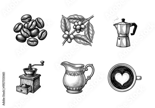 Vintage engraving style coffee collection featuring roasted beans, plant branch with berries, moka pot, manual grinder, milk pitcher, and latte art cup