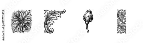 Set of vintage botanical and baroque design elements featuring maple leaves acanthus scroll and floral bud in woodcut engraving style